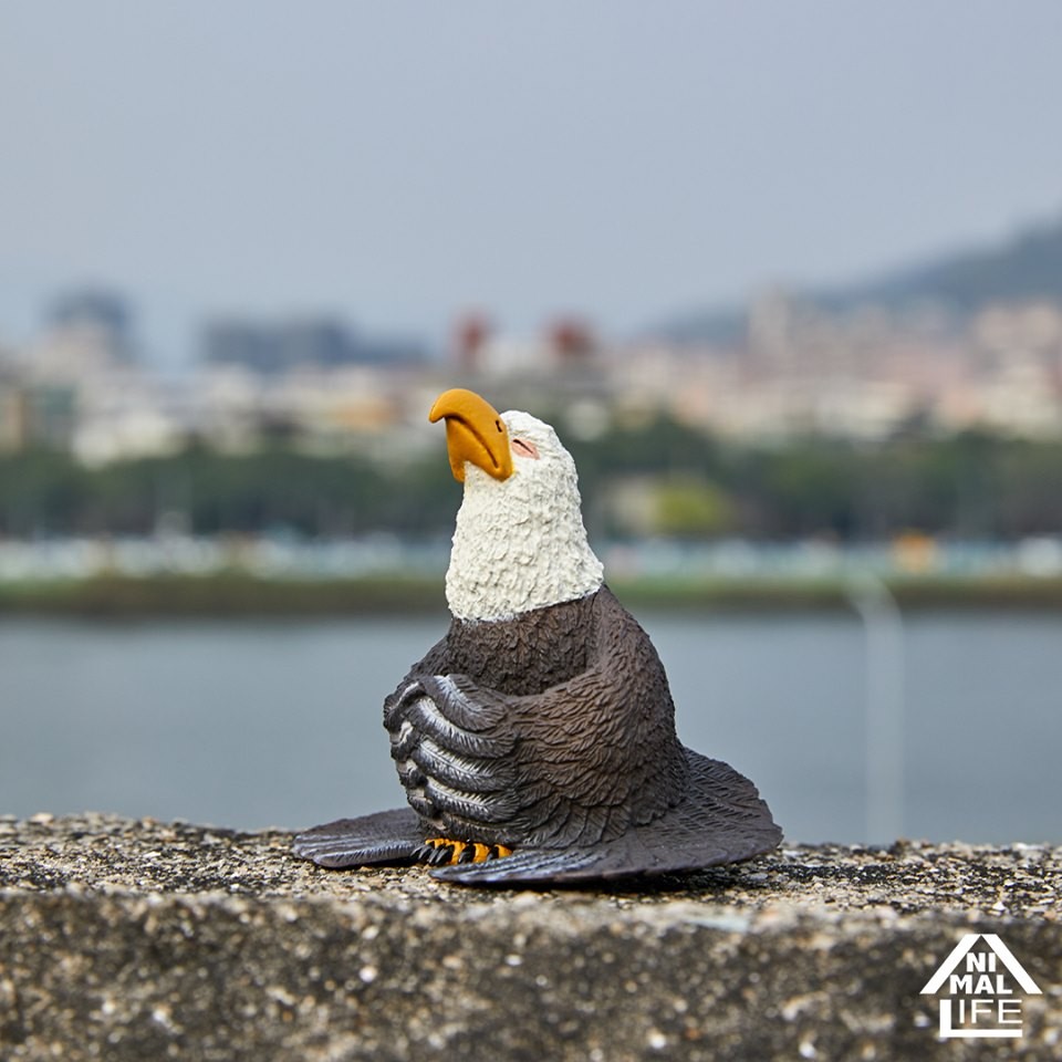 58933324_2321188291296446_8998964831771951104_n