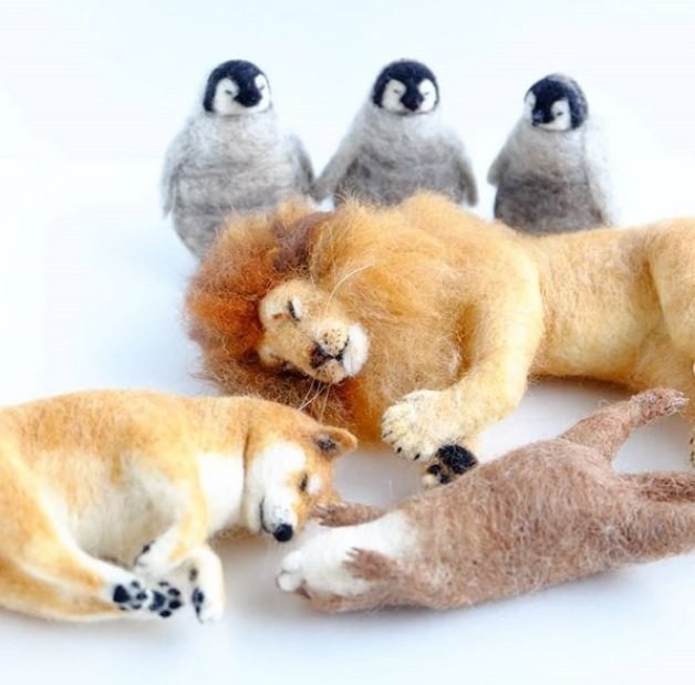 58994554_472311503511272_2200855527255179264_n