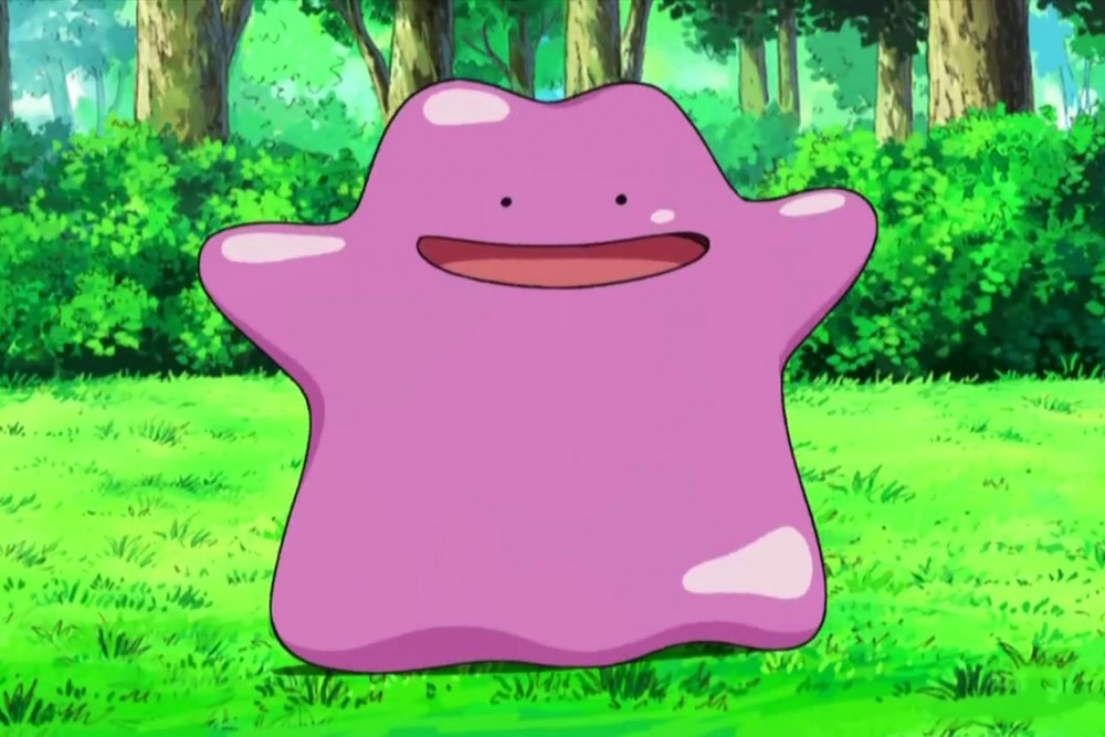 Ditto_Number_1.0
