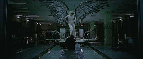 tumblr_nwdooymusp1up42jgo2_500