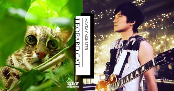 「石虎拜託大家了」!五月天怪獸呼籲保育石虎、守護環境~瞬吸63萬人響應支持