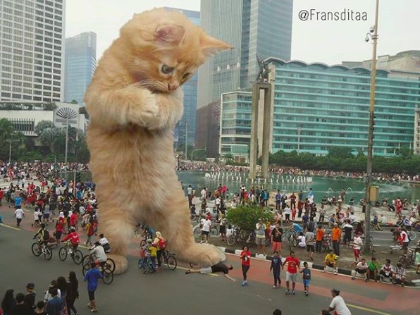 螢幕快照 2019-06-14 下午5.53.33