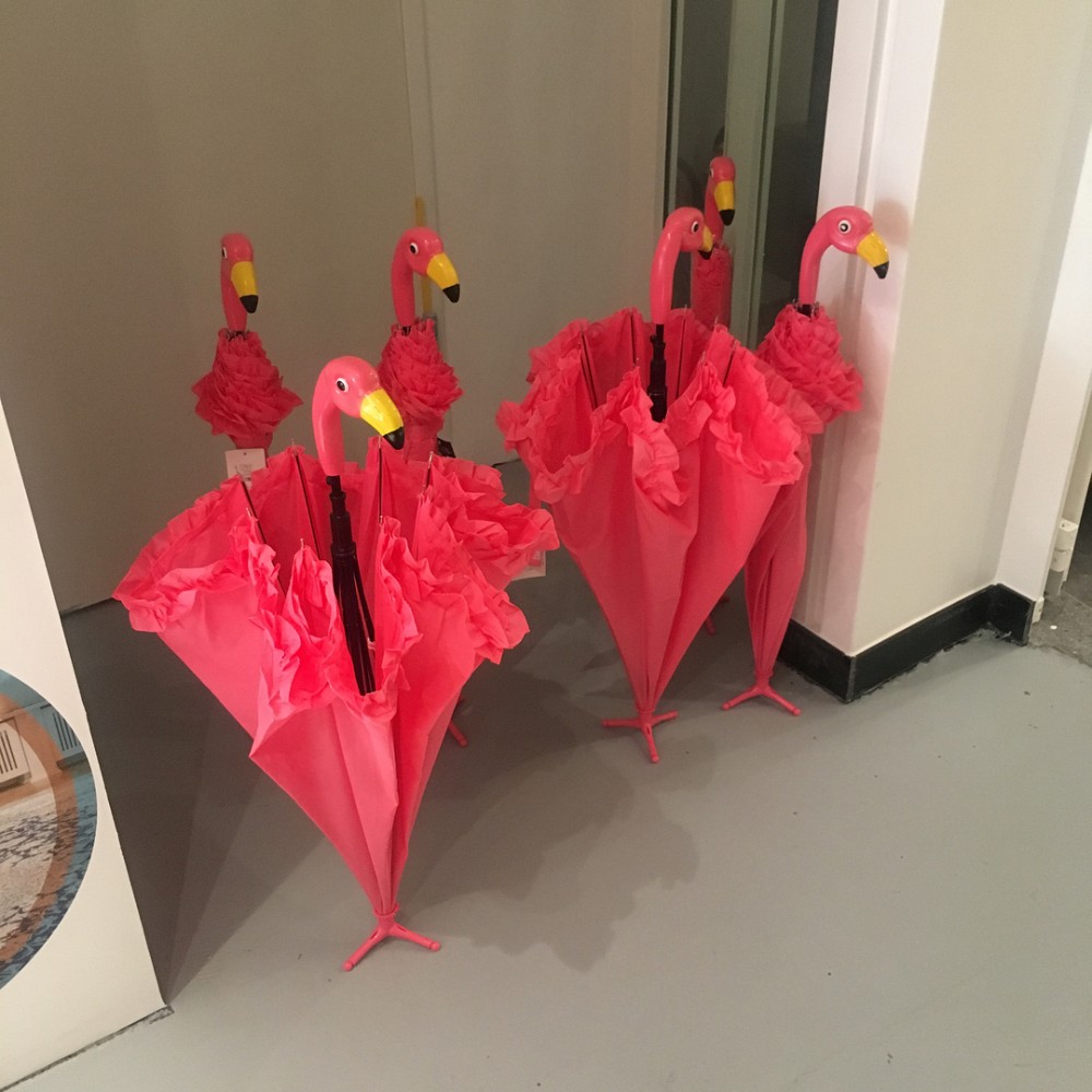 20905807_1993557157548813_2030163764451475456_n