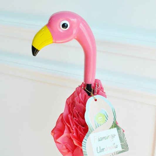 21690112_136222806997059_1699766185366650880_n