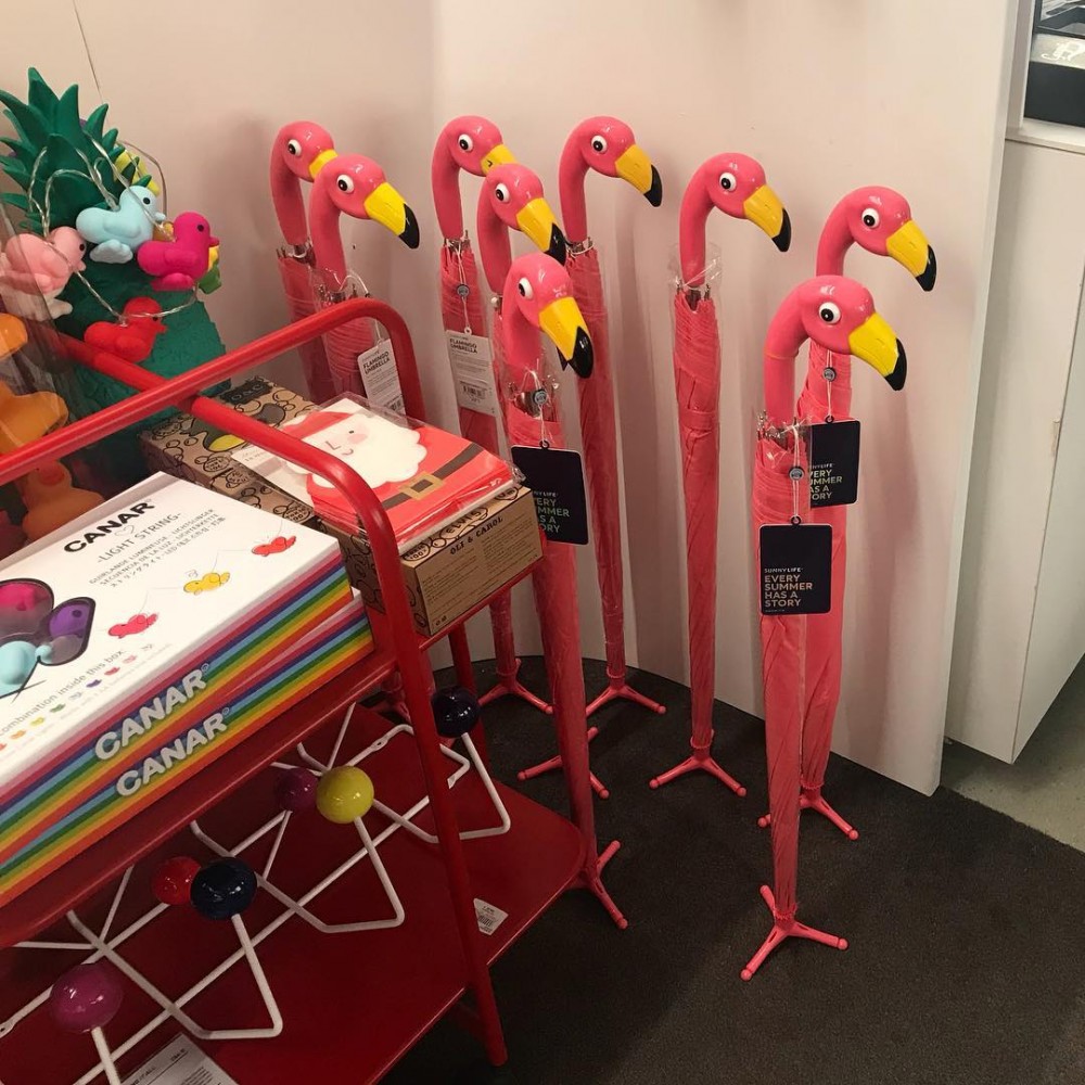 25009409_136941096941568_1466070739844071424_n