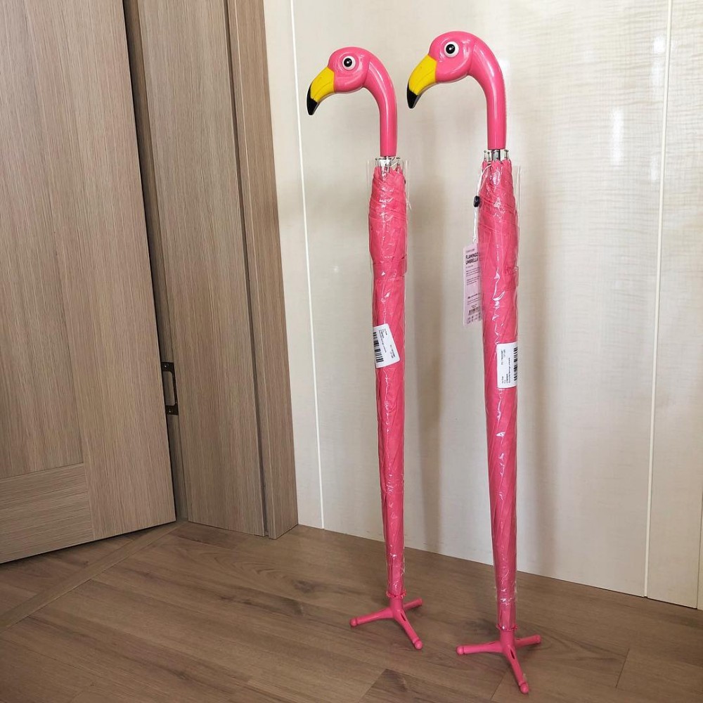 44528645_246181209411548_4751867059409780736_n