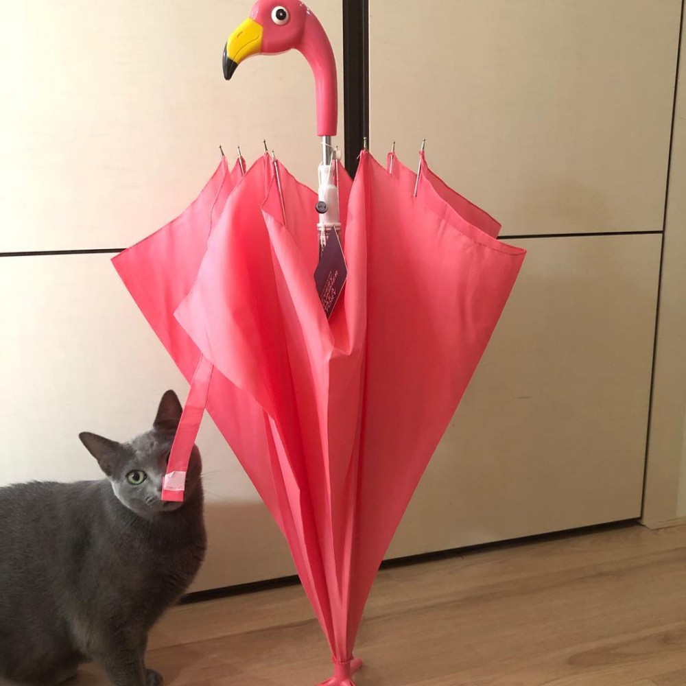 45414126_328410544620891_5448050372981555200_n