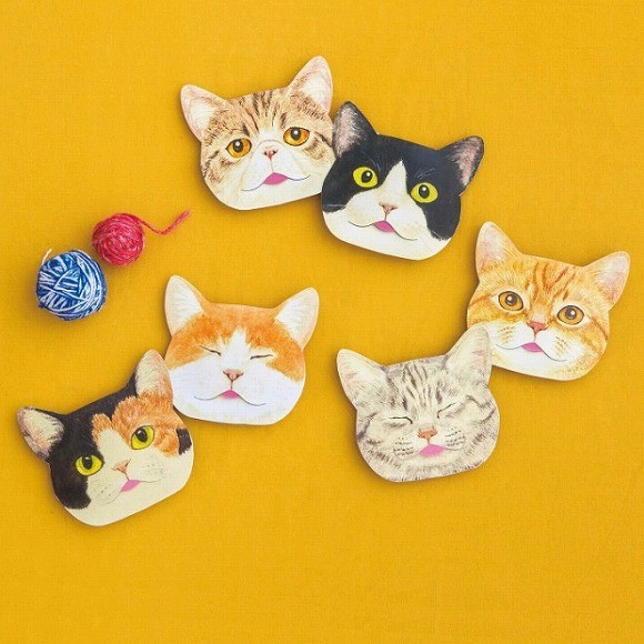 47847831061_bee22f75c6_o