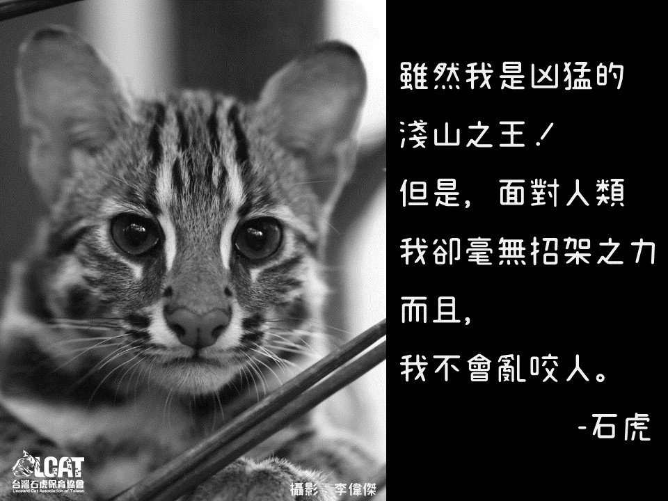 53201089_410501259510516_3578869026530525184_n