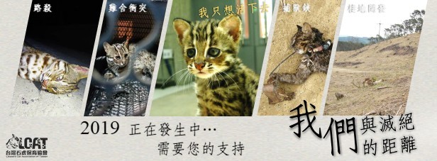 56942562_422945381599437_6959969205810626560_n