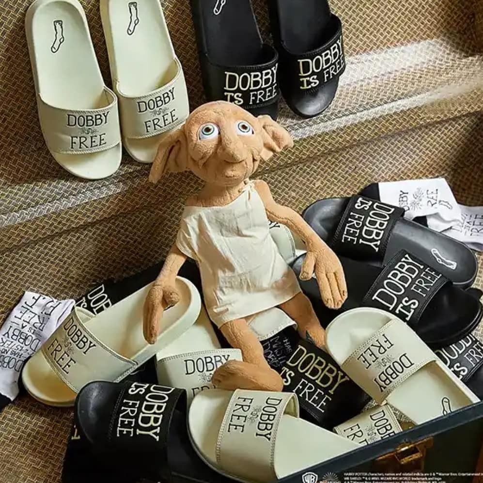 61317290_445771362891265_3436695510880357414_n