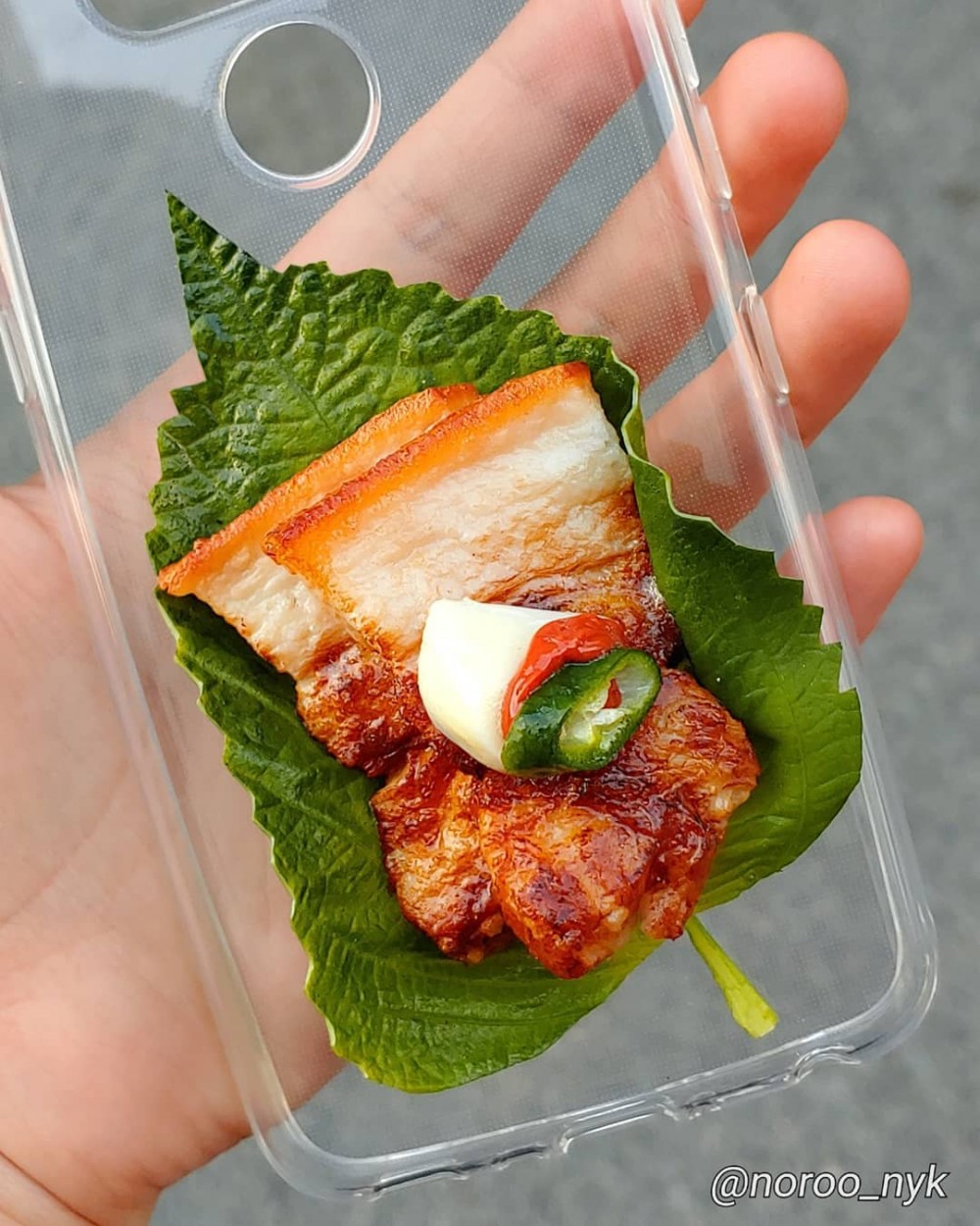 64698656_2036723233117318_5898856912346014395_n