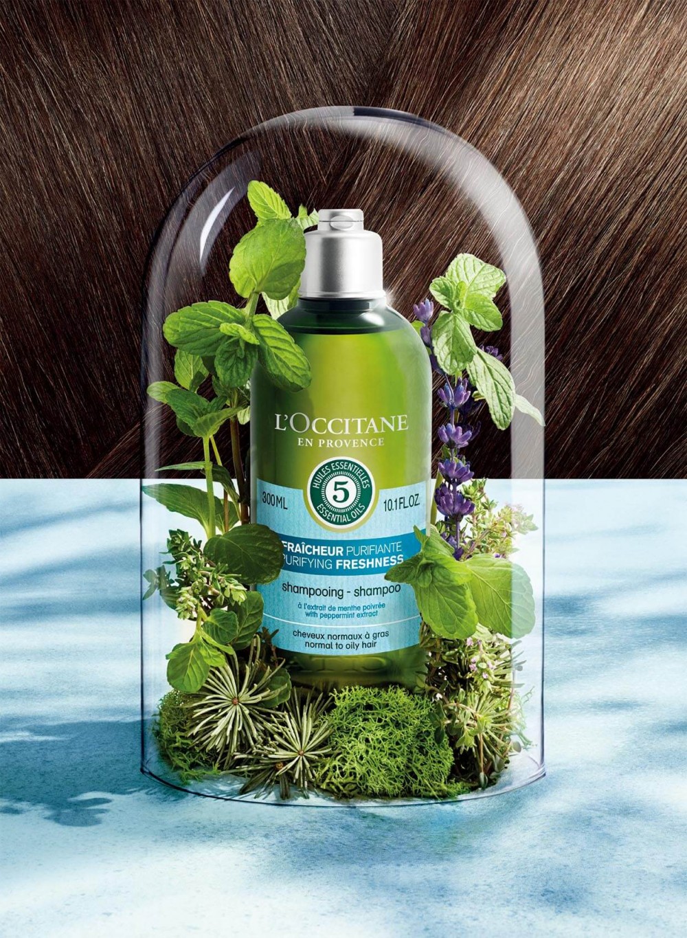 L'OCCITANE 草本淨涼頭髮護理系列主視覺