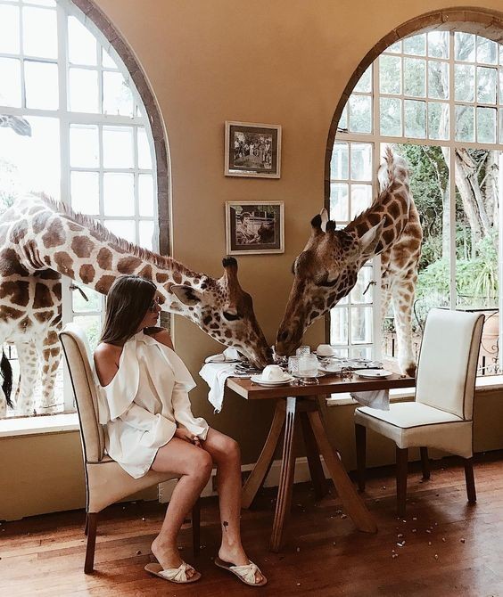 e30fa0c988613613dd0172b0497ba5f8