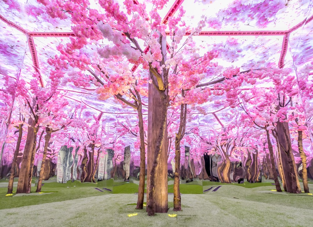 幻鏡花園-秘境落櫻繽紛