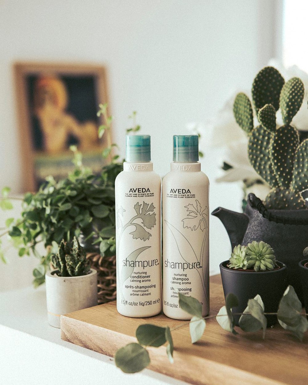 純香系列_形象圖_2