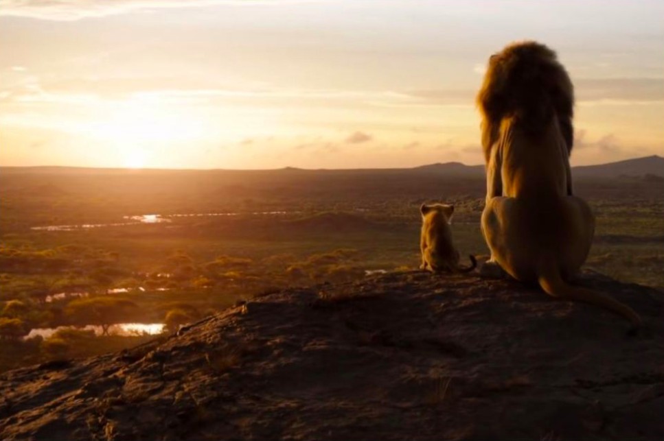 螢幕快照 2019-07-20 下午11.50.04