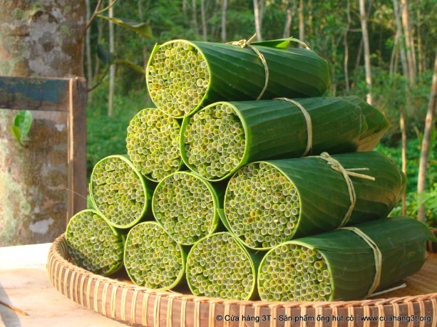 螢幕快照 2019-07-26 下午3.43.34