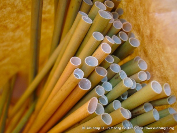 螢幕快照 2019-07-26 下午3.43.38