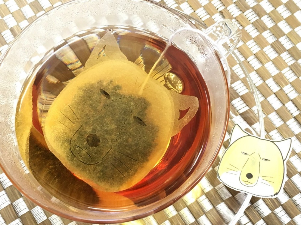 0cb790b12e4f2527a8ac5e2a4024dc55