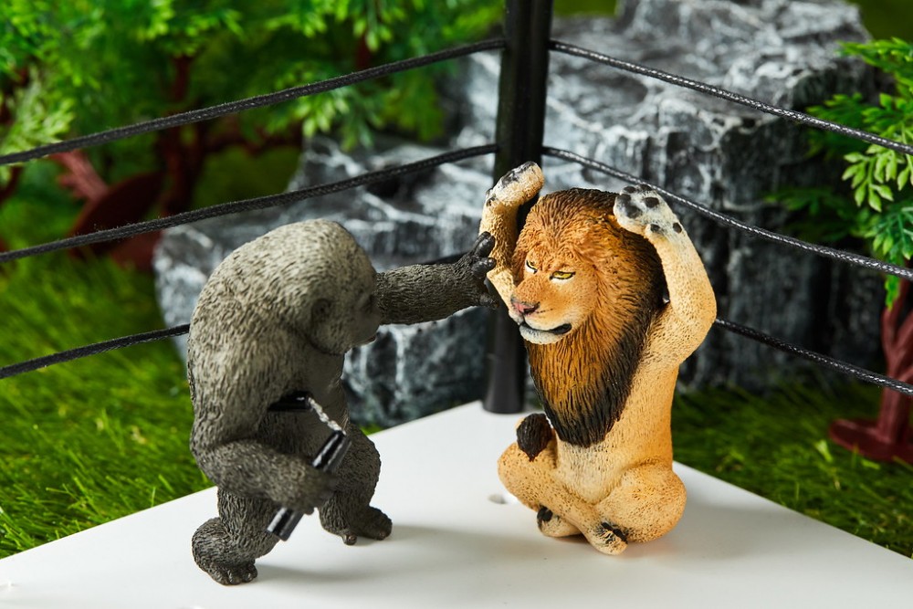 17e8dde577ac65ea47ebaa28498a770e