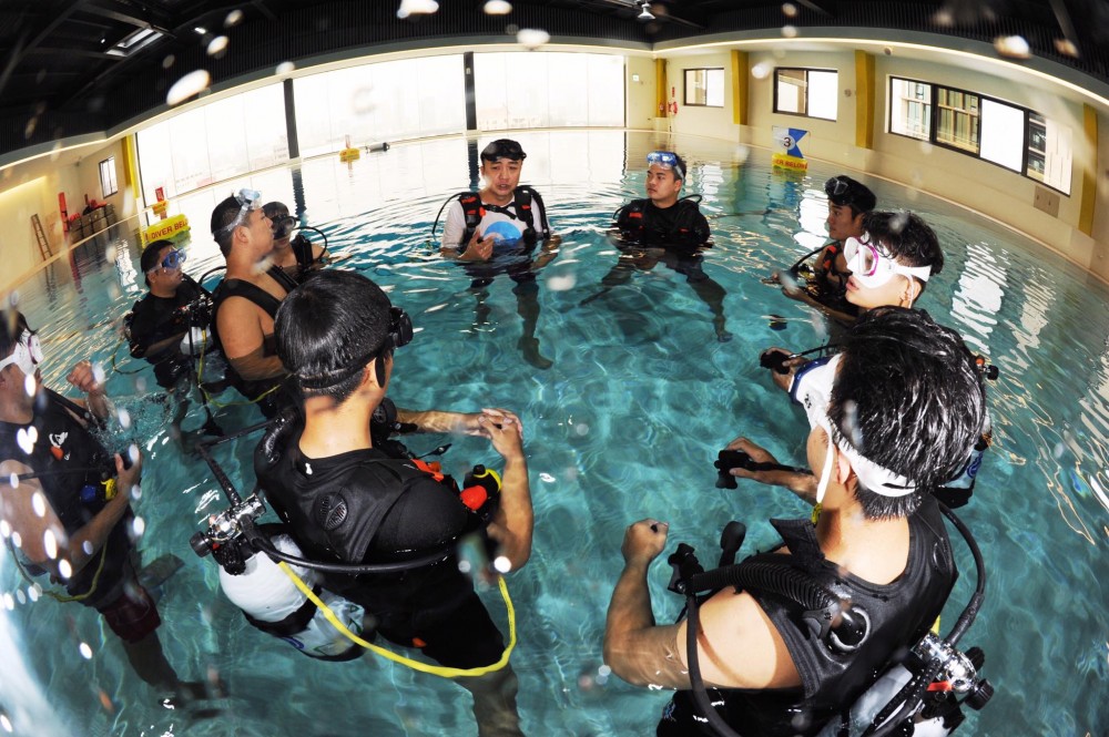 18422903_1547044205336598_5592676727935851656_o