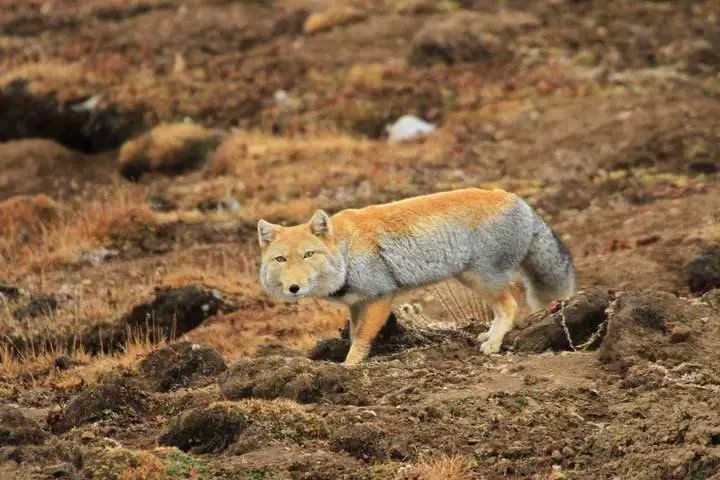 2413c44855d877a7600e16b8d2ee233d