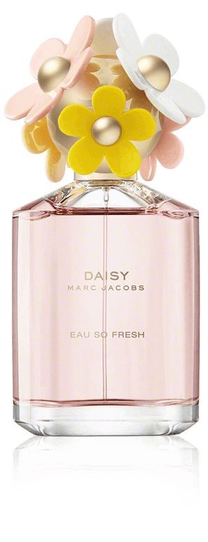 2d617e57a5846c24ea3ca418ab1d1f53