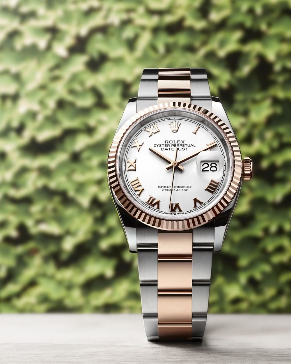 36813417_909247169260435_4351266530474852352_n