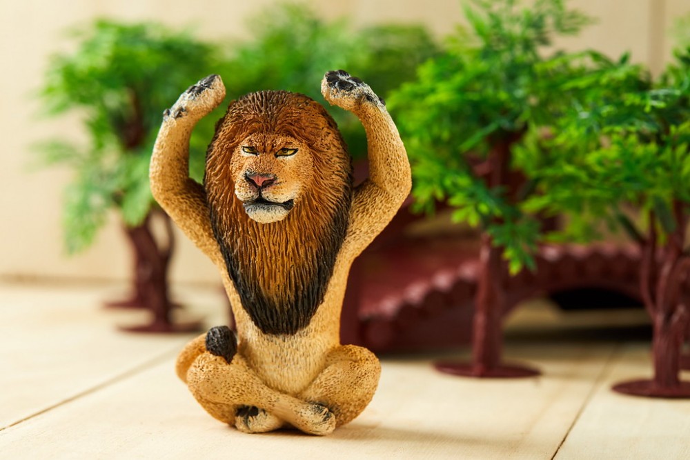 4141bd257f8bc24183be2dd88000dca6