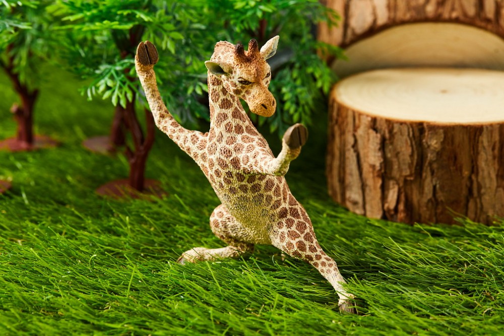 48095939252_943eaab7c6_b