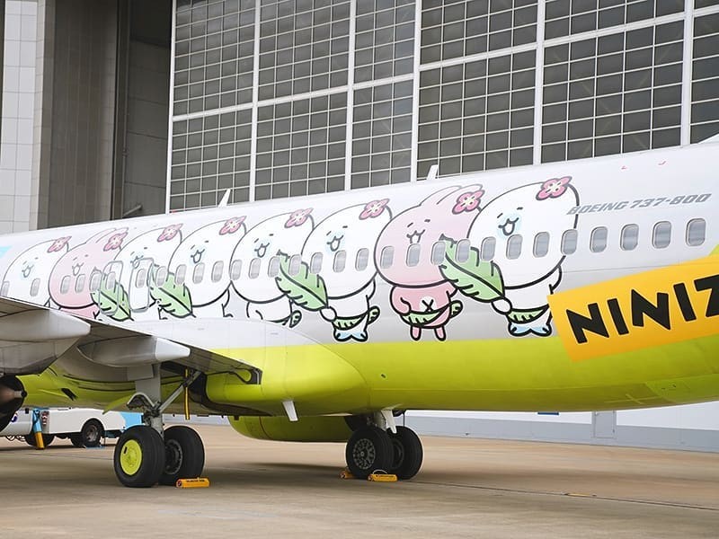 61376485_119644125933282_7648446189449896865_n