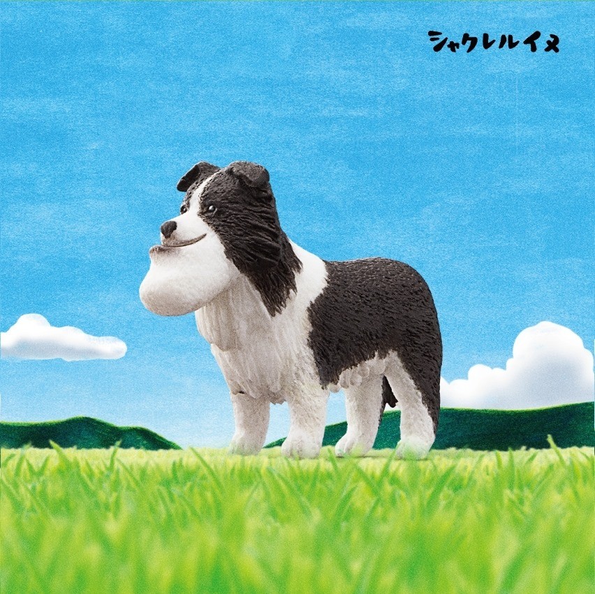 66654886_2460462657371683_3017048104047214592_n