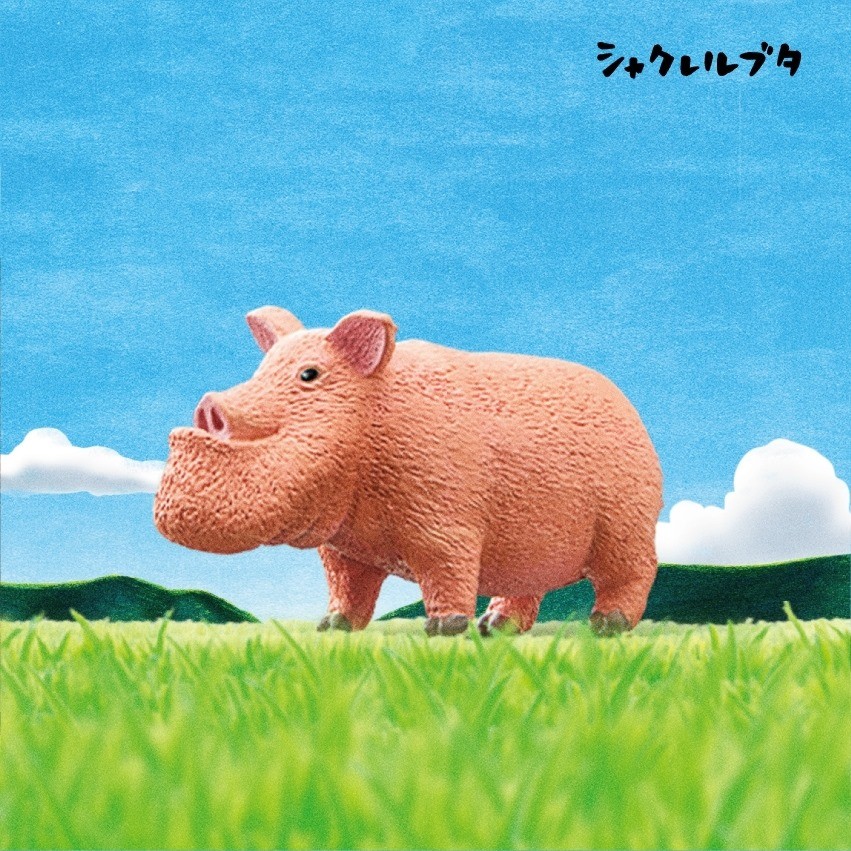 66834676_2460462910704991_3043270090570072064_n