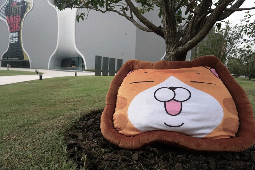 67128378_2243656089016456_2775572849253941248_o