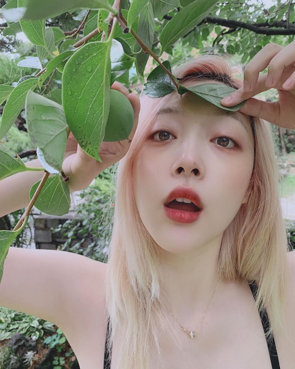 67622217_2741554972581651_6070375964431580023_n