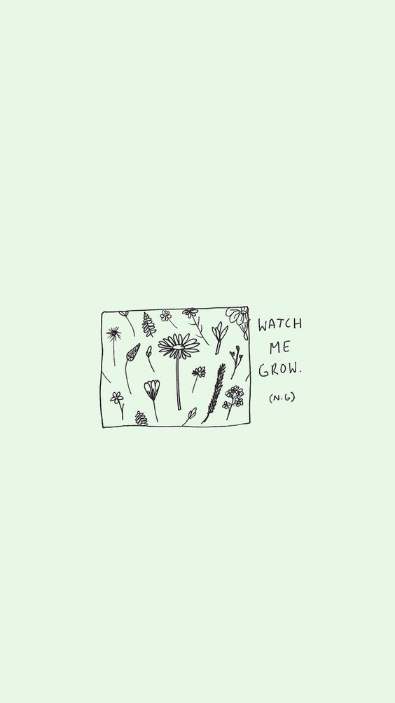 7d2036f08982c475deca8e28c198c3f7