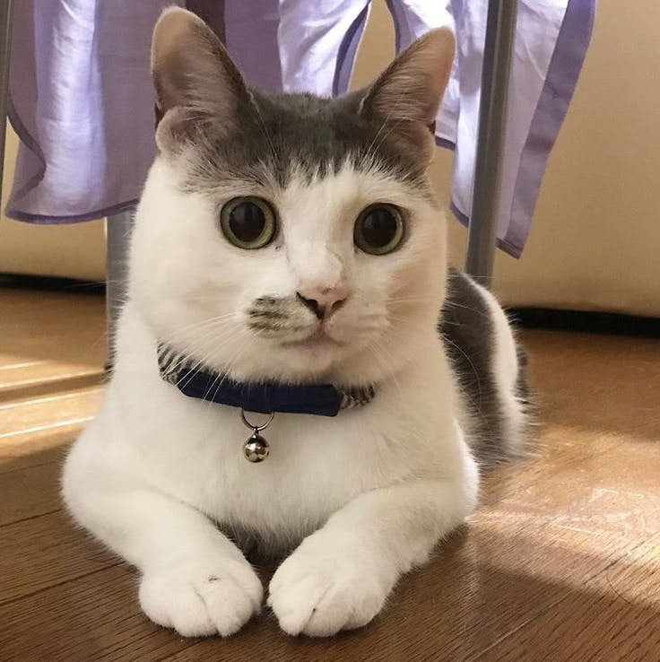 Screen-Shot-2019-07-12-at-5.25.31-PM