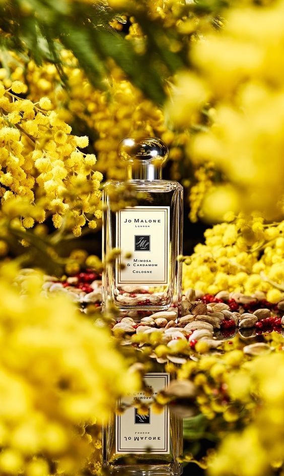 a6fa13d7cc8dfbfbc7970df2d3b4b95c