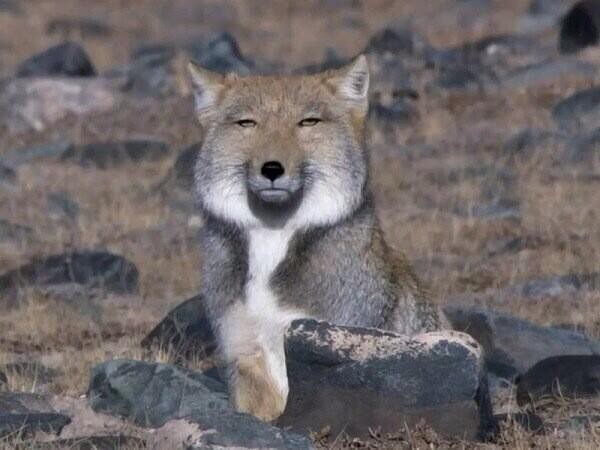 c17a9b04daae256f1e87214823d0c6ea