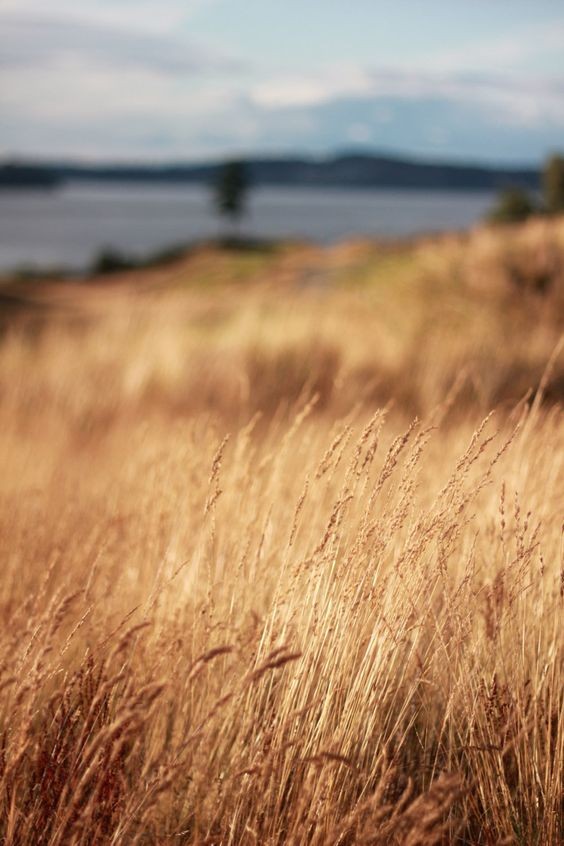 dd2a4cc9305278ddb894ef53b7e5613d