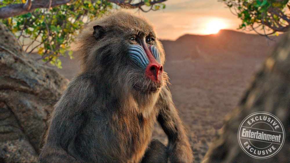 new-photos-from-disneys-the-lion-king-and-jon-favreau-discusses-the-film-and-reinventing-the-story-social
