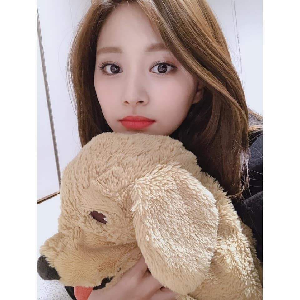 twicetagram_57840124_611898622654877_4047258263725119951_n