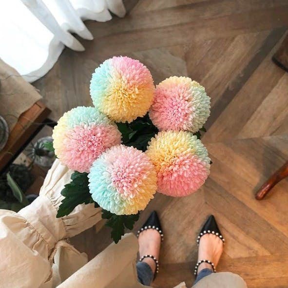 螢幕快照-2019-08-06-下午5.13.06