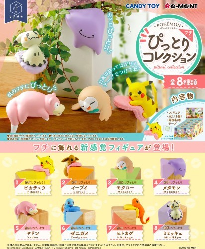 螢幕快照 2019-08-19 下午6.55.59