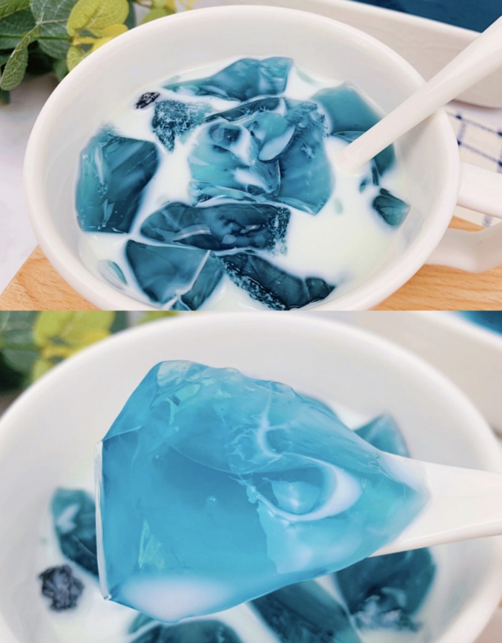 螢幕快照 2019-08-25 下午2.46.40