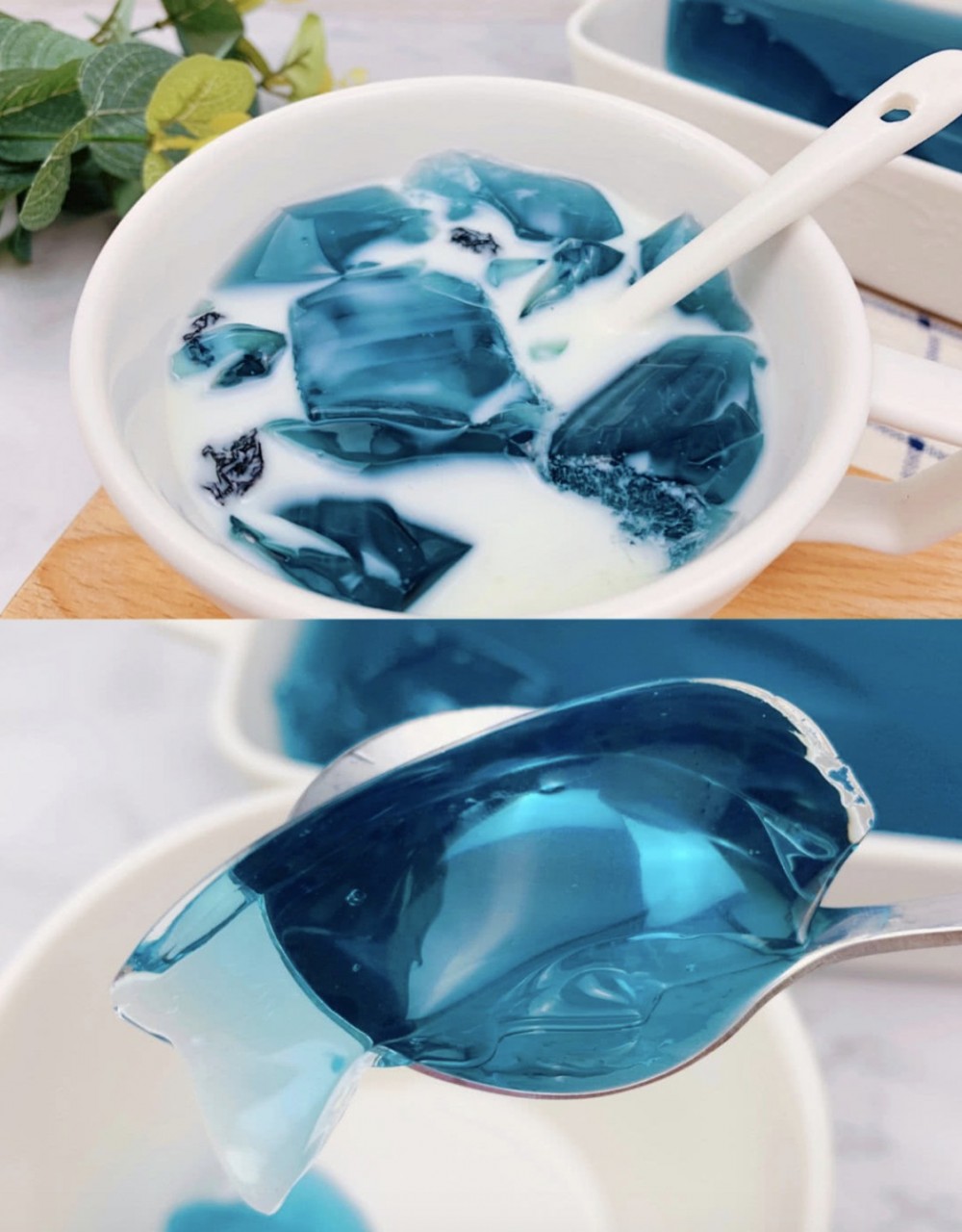 螢幕快照 2019-08-25 下午2.46.53