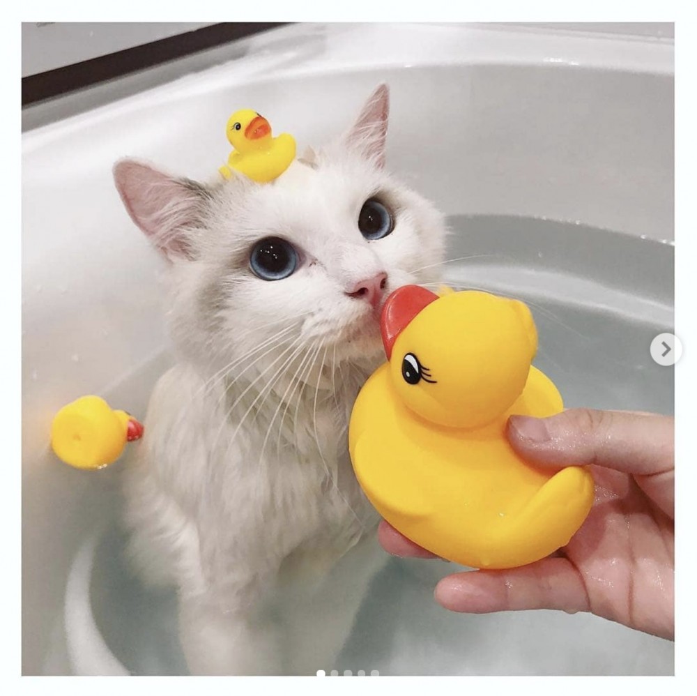 螢幕快照 2019-08-28 下午5.20.29