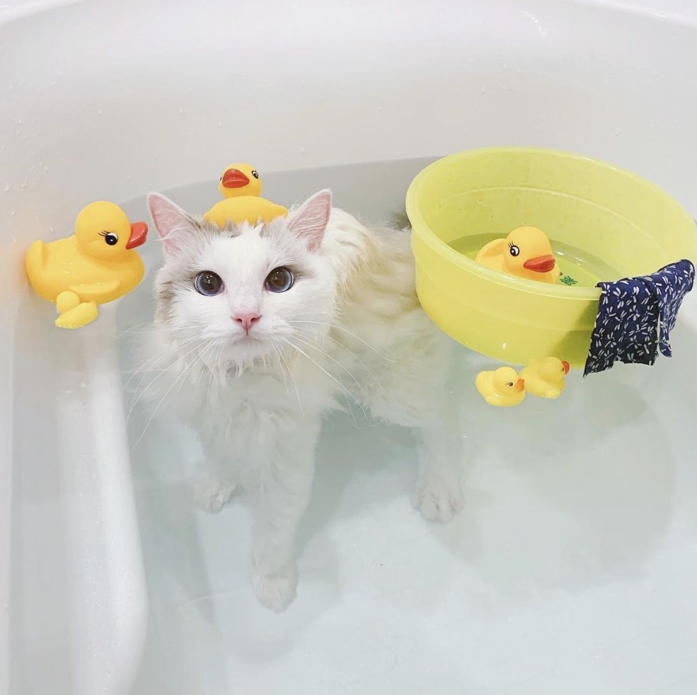 螢幕快照 2019-08-28 下午5.24.32