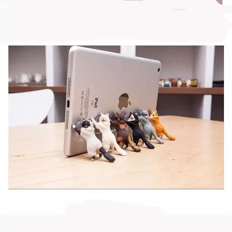 25005157_149562992481762_1272276940660670464_n